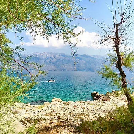 Atrium Blue Appartement