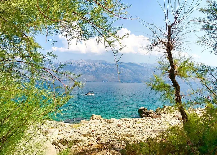 Atrium Blue アパート